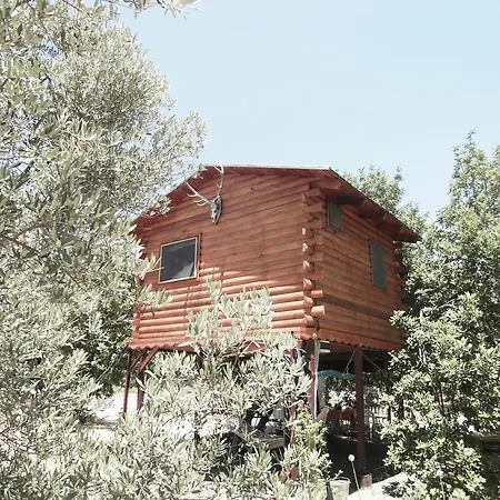 Kapiyani Tree House Mesudiye (Datca)