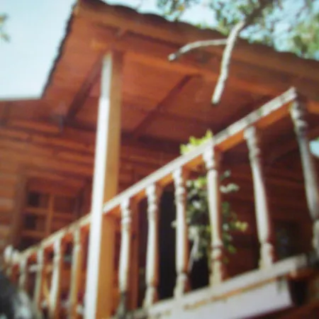 Camping Kapiyani Tree House