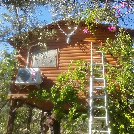 Camping Kapiyani Tree House *