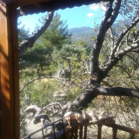 Kapiyani Tree House Camping Mesudiye (Datca)