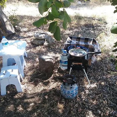 Kapiyani Tree House * Mesudiye (Datca)