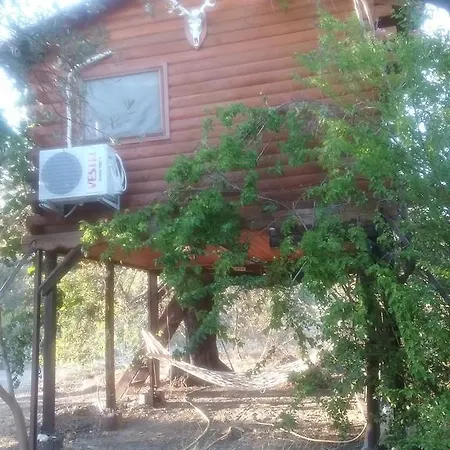 Kapiyani Tree House * Mesudiye (Datca)