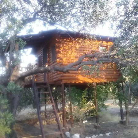 Kapiyani Tree House * Mesudiye (Datca)