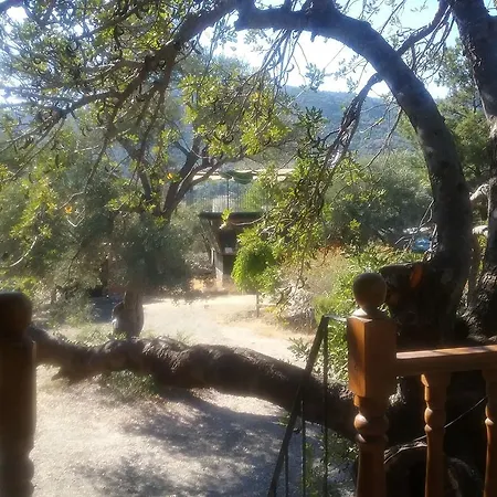 Kapiyani Tree House * Mesudiye (Datca)